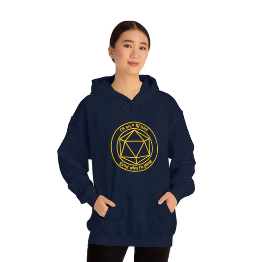 I'm not a Wizard Unisex Heavy Blend™ Hooded Sweatshirt